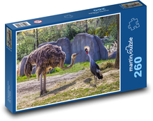 Pštros v ZOO Puzzle 260 dielikov - 41 x 28,7 cm 