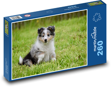 Šteňa v tráve Puzzle 260 dielikov - 41 x 28,7 cm 