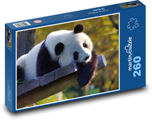 Medvídek - Panda velká Puzzle 260 dílků - 41 x 28,7 cm