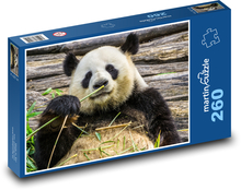 Medvěd panda Puzzle 260 dílků - 41 x 28,7 cm