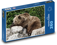 Animal - Brown bear Puzzle 260 pieces - 41 x 28.7 cm 