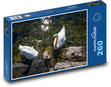 Swans - birds, water Puzzle 260 pieces - 41 x 28.7 cm 