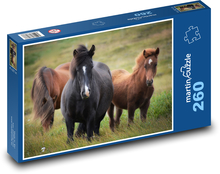 Horse - Icelandic horse, herd Puzzle 260 pieces - 41 x 28.7 cm 