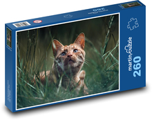 Katze - Tier, Kätzchen Puzzle 260 Teile - 41 x28,7 cm