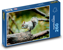 Veverička - zviera, les Puzzle 260 dielikov - 41 x 28,7 cm 