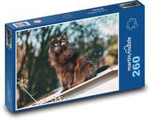 Kočka - domácí, zvíře Puzzle 260 dílků - 41 x 28,7 cm
