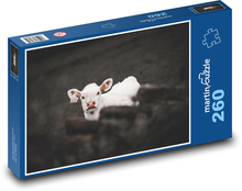 Krowa - zagroda, zwierzę Puzzle 260 elementów - 41x28,7 cm