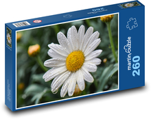 Daisy - flower, spring Puzzle 260 pieces - 41 x 28.7 cm 