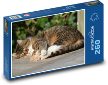 Kočka - zvíře, spánek Puzzle 260 dílků - 41 x 28,7 cm