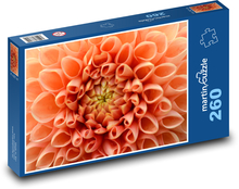 Dalia - kwiat pomarańczy Puzzle 260 elementów - 41x28,7 cm