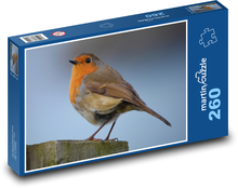 Červenka - pták Puzzle 260 dílků - 41 x 28,7 cm