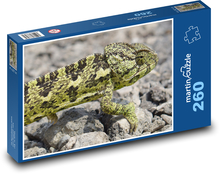 Zelený chameleón Puzzle 260 dielikov - 41 x 28,7 cm 