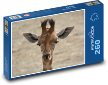 Giraffe - neck, mammal Puzzle 260 pieces - 41 x 28.7 cm 