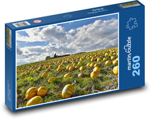 Pumpkin field Puzzle 260 pieces - 41 x 28.7 cm 