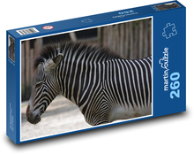 Zebra - zvíře, pruhy Puzzle 260 dílků - 41 x 28,7 cm
