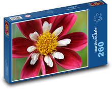 Červené juřiny Puzzle 260 dielikov - 41 x 28,7 cm 