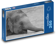 Slon - zvíře, Afrika Puzzle 260 dílků - 41 x 28,7 cm