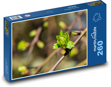 Jarné puky na vetvičke Puzzle 260 dielikov - 41 x 28,7 cm