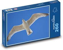 Seagull - animal, wings Puzzle 260 pieces - 41 x 28.7 cm 