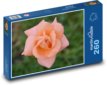 Květ růže Puzzle 260 - 41x28,7 cm