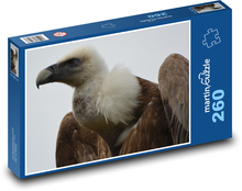 Sup - dravý pták Puzzle 260 dílků - 41 x 28,7 cm