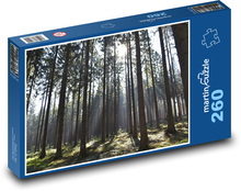 Les - příroda, stromy Puzzle 260 dílků - 41 x 28,7 cm