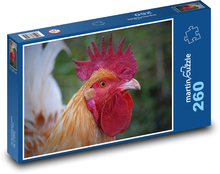 Kohout - drůbež, zvíře Puzzle 260 dílků - 41 x 28,7 cm