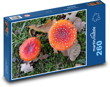 Toadstool - mushrooms, autumn Puzzle 260 pieces - 41 x 28.7 cm 