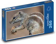Veverka - jídlo, zvíře Puzzle 260 dílků - 41 x 28,7 cm