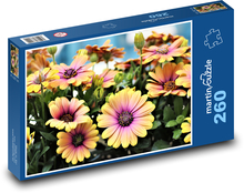 Daisies - African flowers Puzzle 260 pieces - 41 x 28.7 cm 