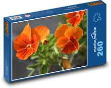 Pansies - orange, garden Puzzle 260 pieces - 41 x 28.7 cm 