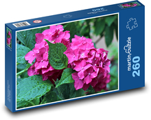 Hortenzia - ružová, rosa Puzzle 260 dielikov - 41 x 28,7 cm 
