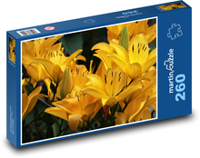 Lilie - gelbe Blume Puzzle 260 Teile - 41 x28,7 cm