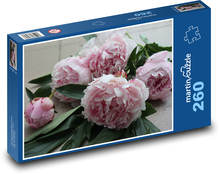 Pivonka - ružová kvetina Puzzle 260 dielikov - 41 x 28,7 cm 