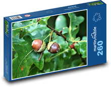 Oak - acorns, tree Puzzle 260 pieces - 41 x 28.7 cm 