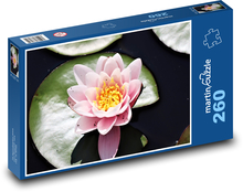 Water lily - pink flower Puzzle 260 pieces - 41 x 28.7 cm 