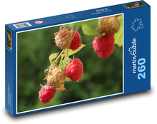Maliny - lato, owoce Puzzle 260 elementów - 41x28,7 cm