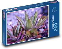 Kaktus - sukulenty, květiny Puzzle 260 dílků - 41 x 28,7 cm