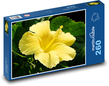 Ibišek - žlutý květ Puzzle 260 dílků - 41 x 28,7 cm