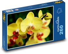 Orchidej - žlutý květ Puzzle 260 dílků - 41 x 28,7 cm