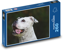 White dog with tongue out Puzzle 260 pieces - 41 x 28.7 cm 