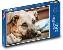 Dog on the street Puzzle 260 pieces - 41 x 28.7 cm 