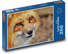 Fuchskopf Puzzle 260 Teile - 41 x28,7 cm