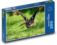 Sowa - latający ptak Puzzle 260 elementów - 41x28,7 cm