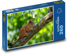 Squirrel - cub, mammal Puzzle 260 pieces - 41 x 28.7 cm 