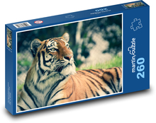 Ussuri tiger  Puzzle 260 pieces - 41 x 28.7 cm 
