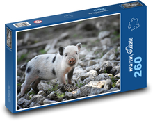 Ferkel, Ferkel, Schwein Puzzle 260 Teile - 41 x28,7 cm