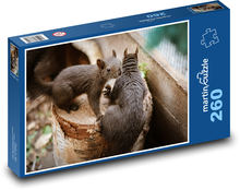 Eichhörnchen auf einem Baumstumpf Puzzle 260 Teile - 41 x28,7 cm