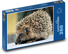 Młody jeż Puzzle 260 elementów - 41x28,7 cm