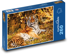 Tiger - beast, predator Puzzle 260 pieces - 41 x 28.7 cm 